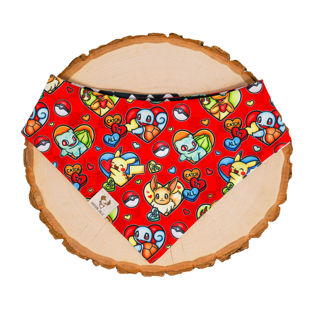 I Choose You - Bandana (Reversible)