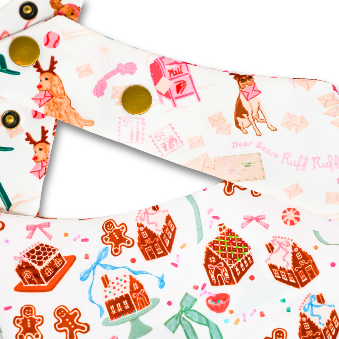 Dear Santa Ruff Ruff (October Monthly Mystery) - Bandana