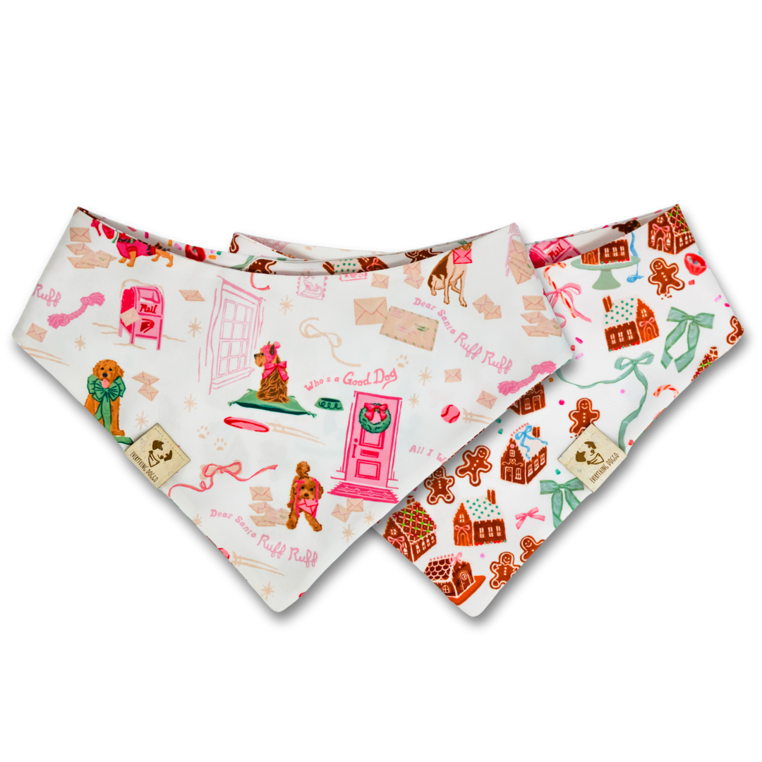Dear Santa Ruff Ruff (October Monthly Mystery) - Bandana
