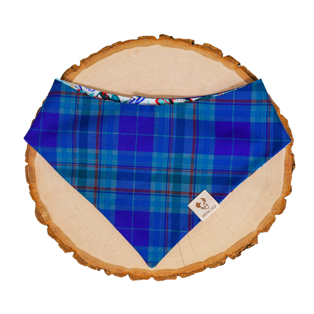 Ski Season (December Monthly Mystery) - Bandana