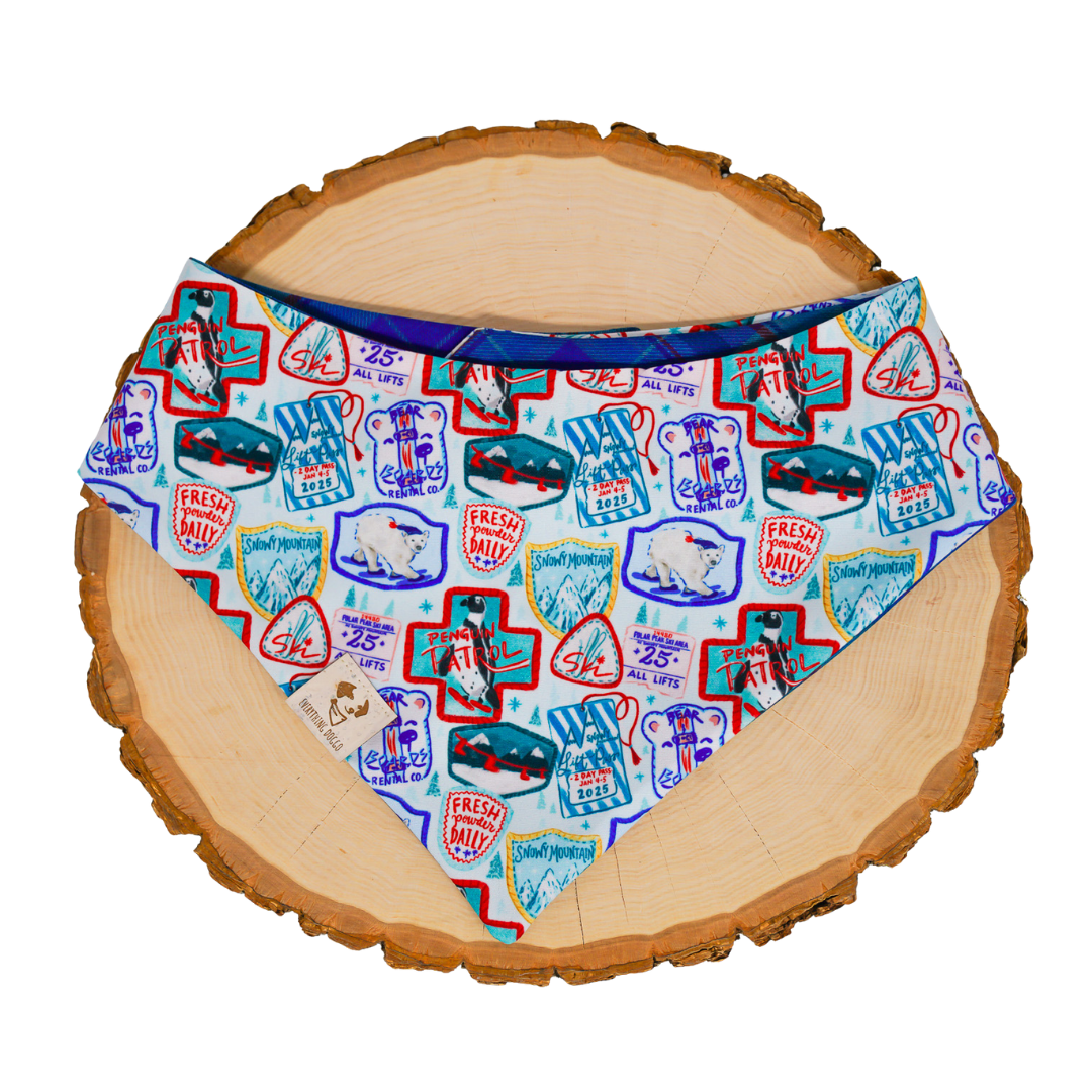 Ski Season (December Monthly Mystery) - Bandana