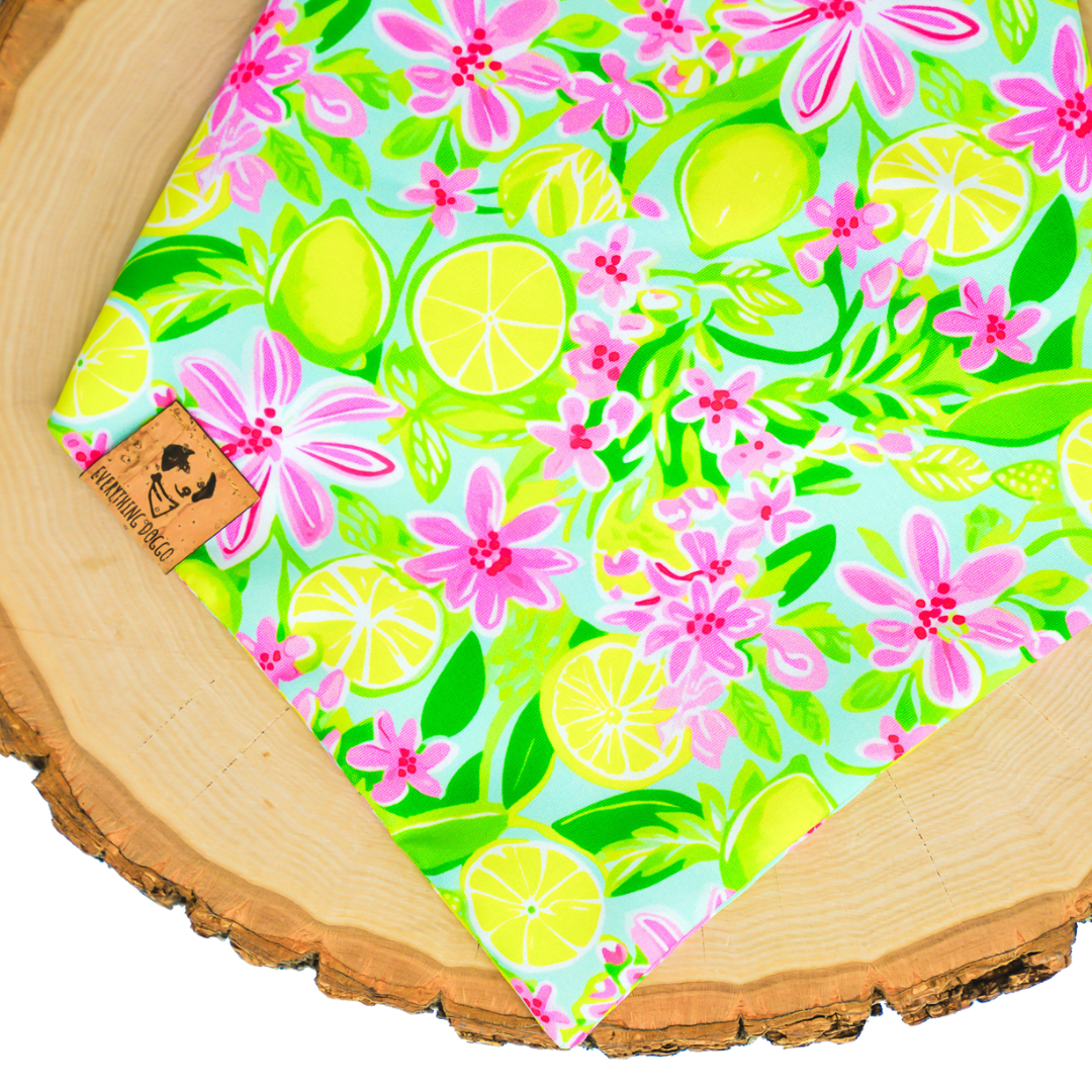 Preppy Limes - Bandana