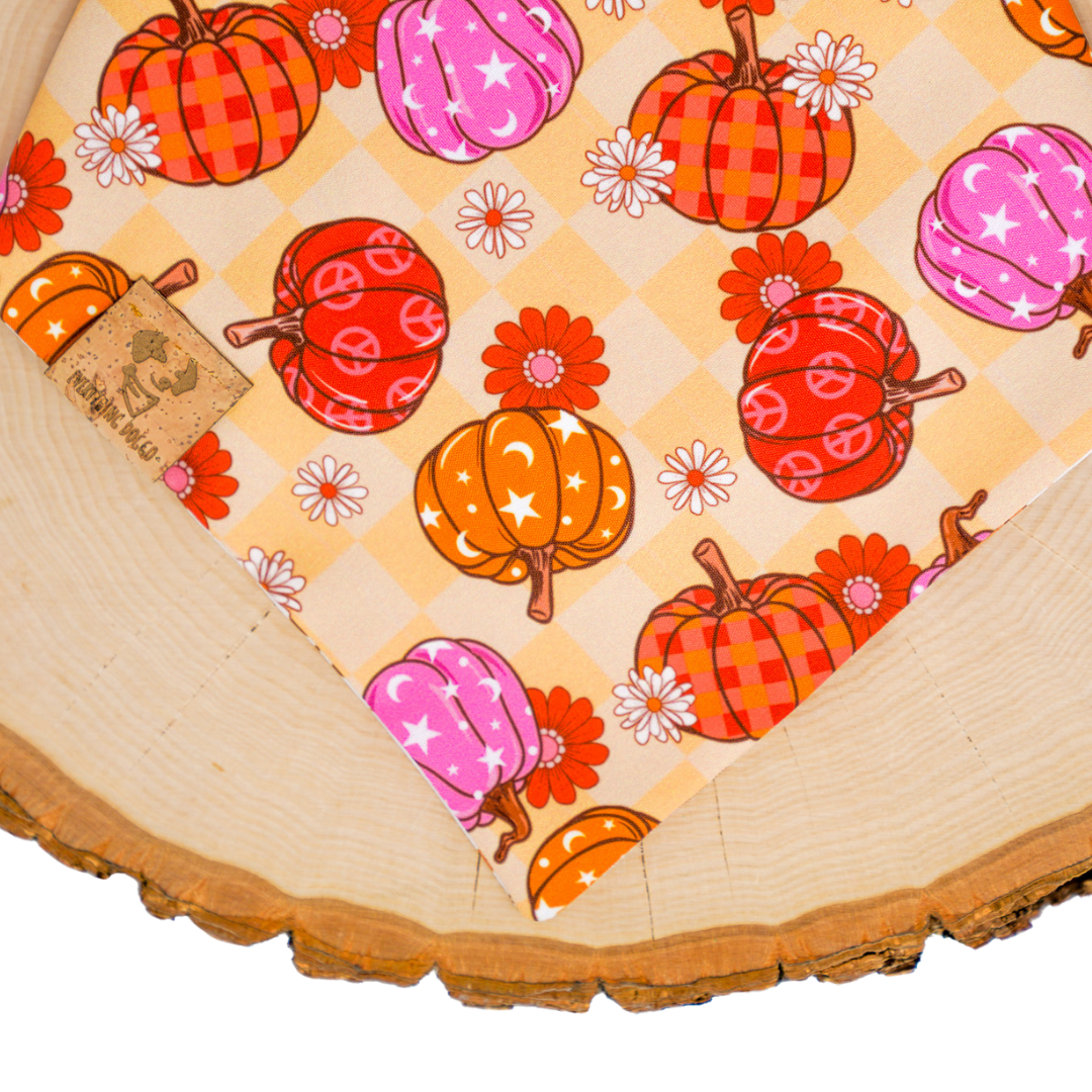 Groovy Fall Pumpkins - Bandana