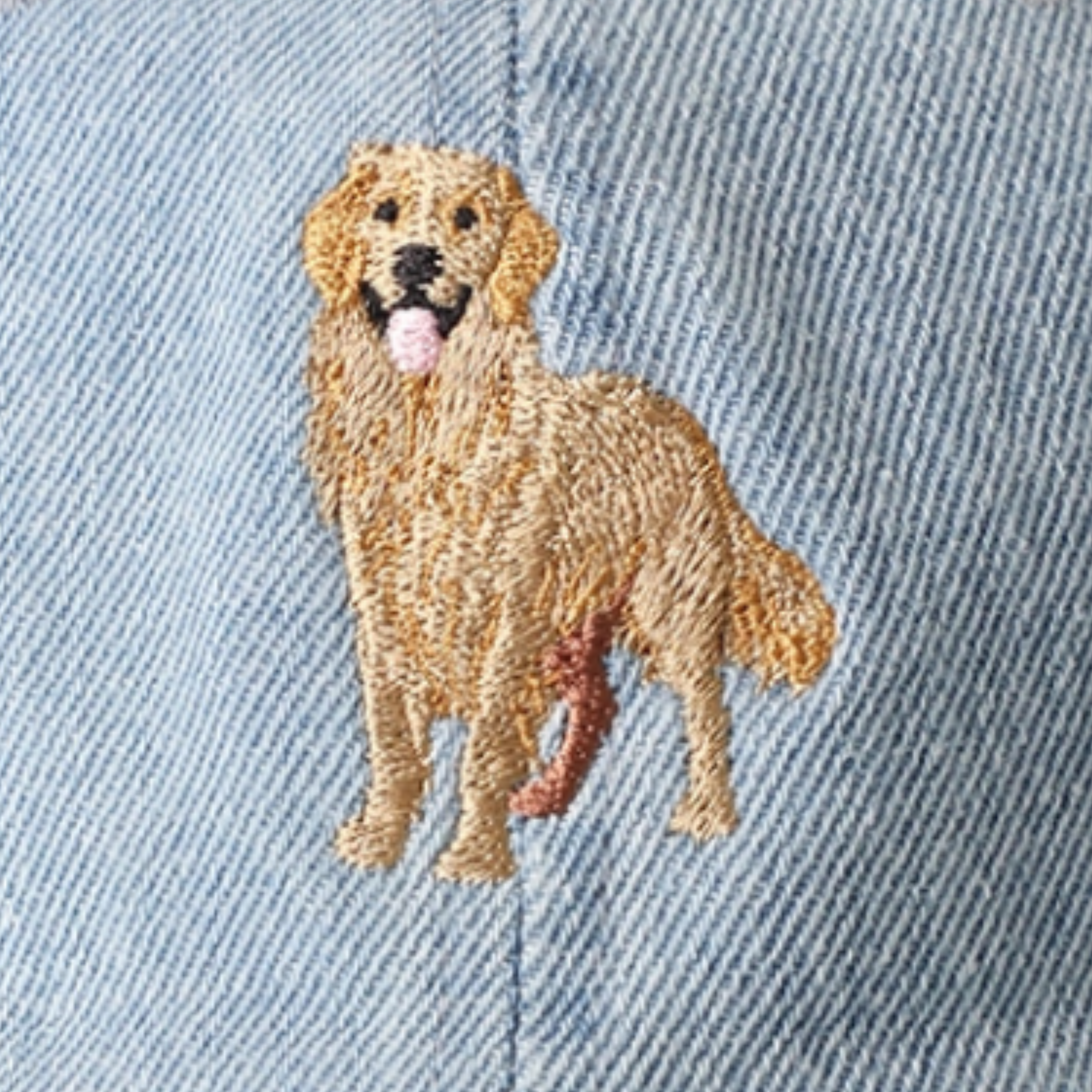 Golden Retriever Embroidered Baseball Hat, Denim Cap