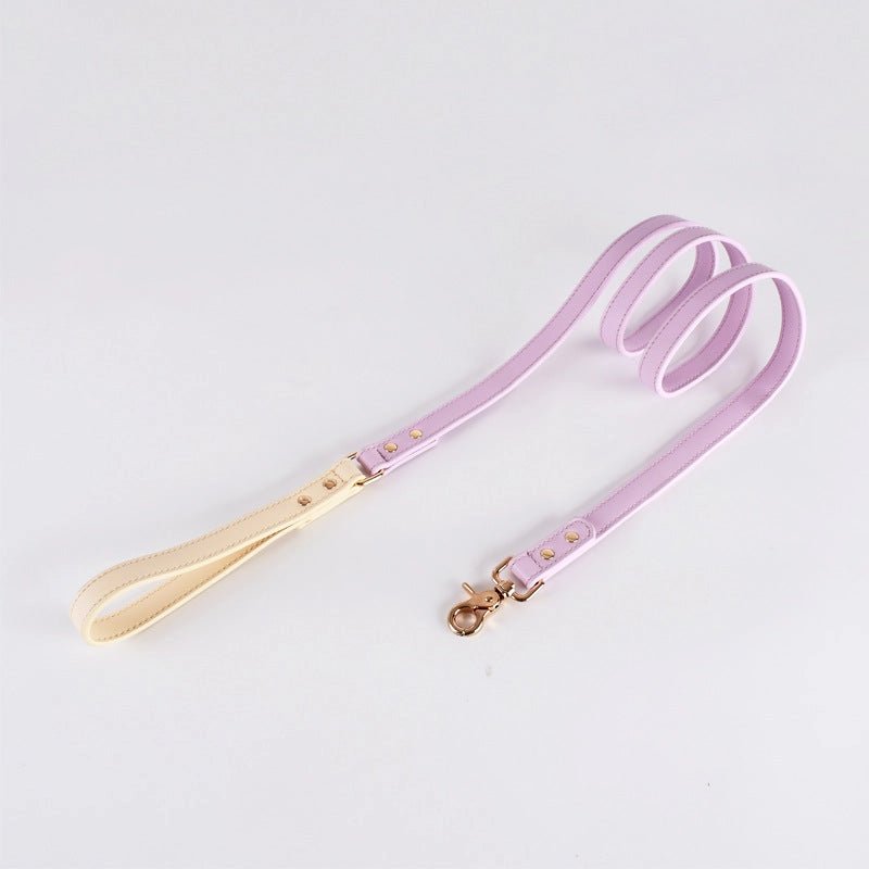 Colorful Leather Dog Leash