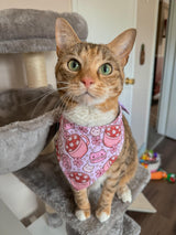 Kitty Cocoa - Bandana