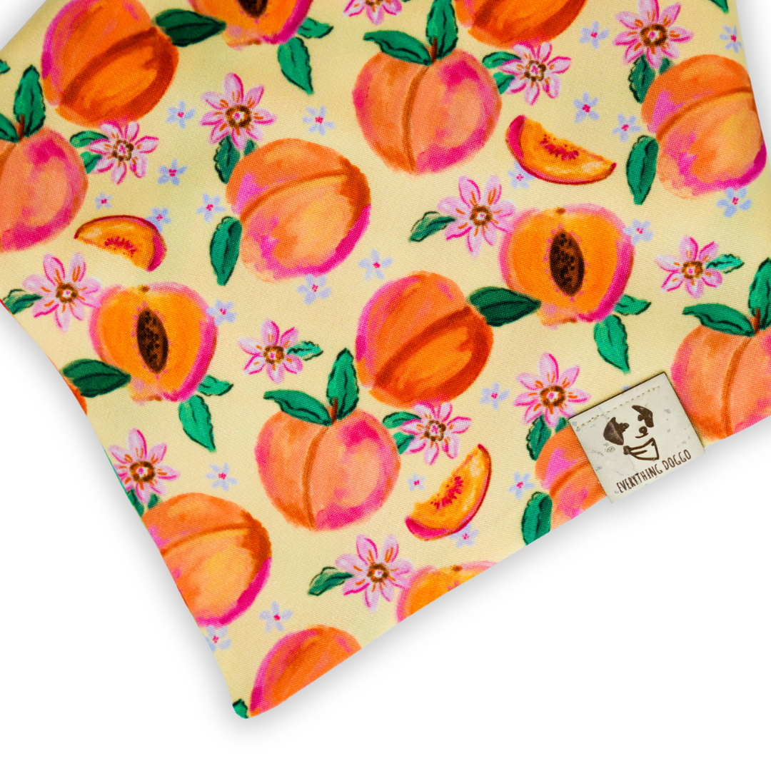 Peach Picnic (June Monthly Mystery) - Bandana