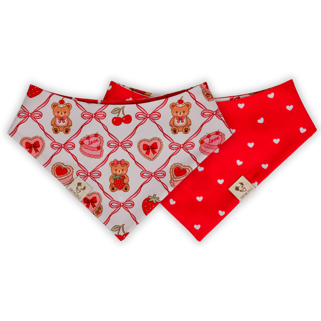 Coquette Valentine - Bandana (Reversible)
