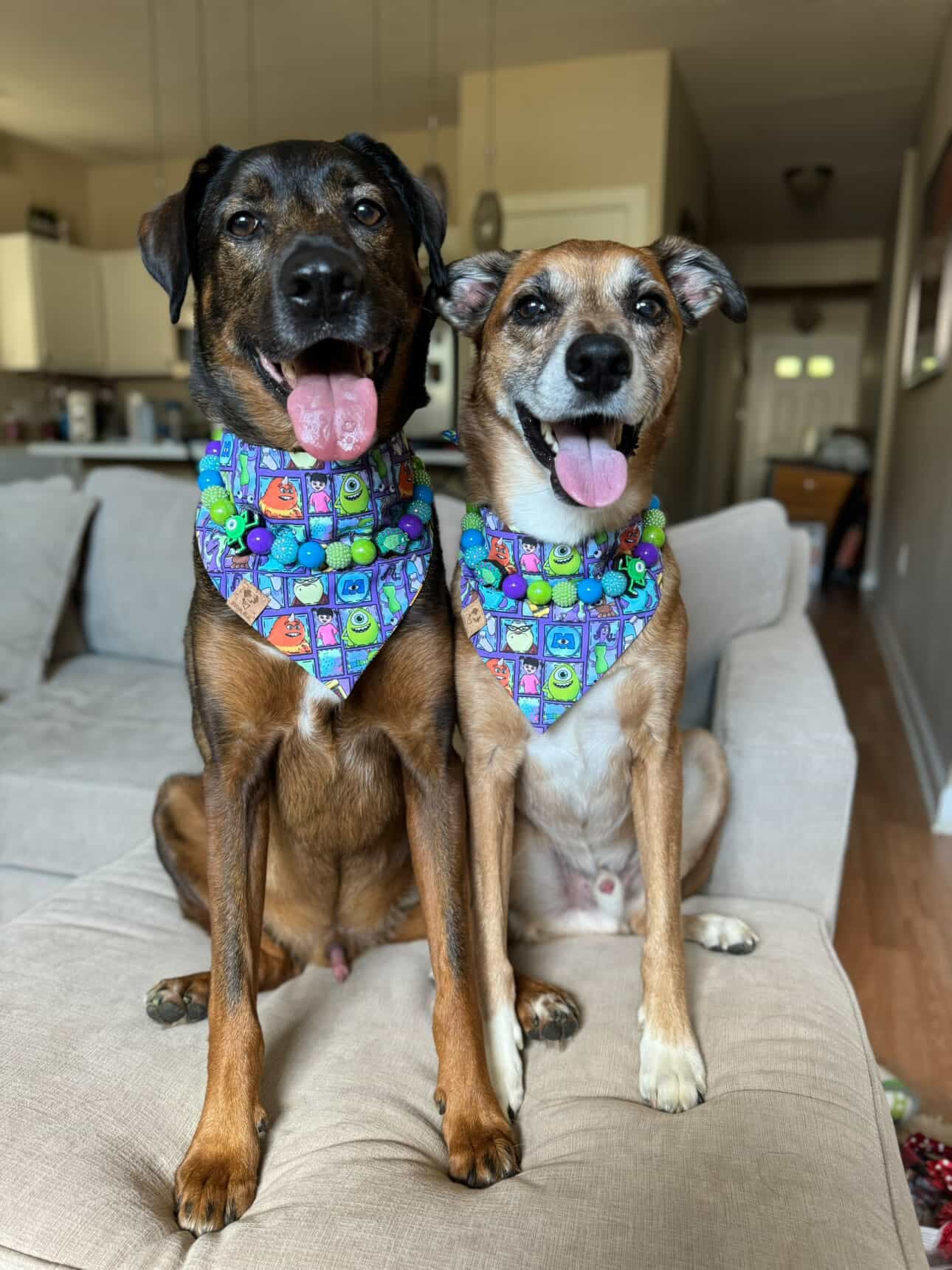 Scare Floor (Reversible) - Bandana