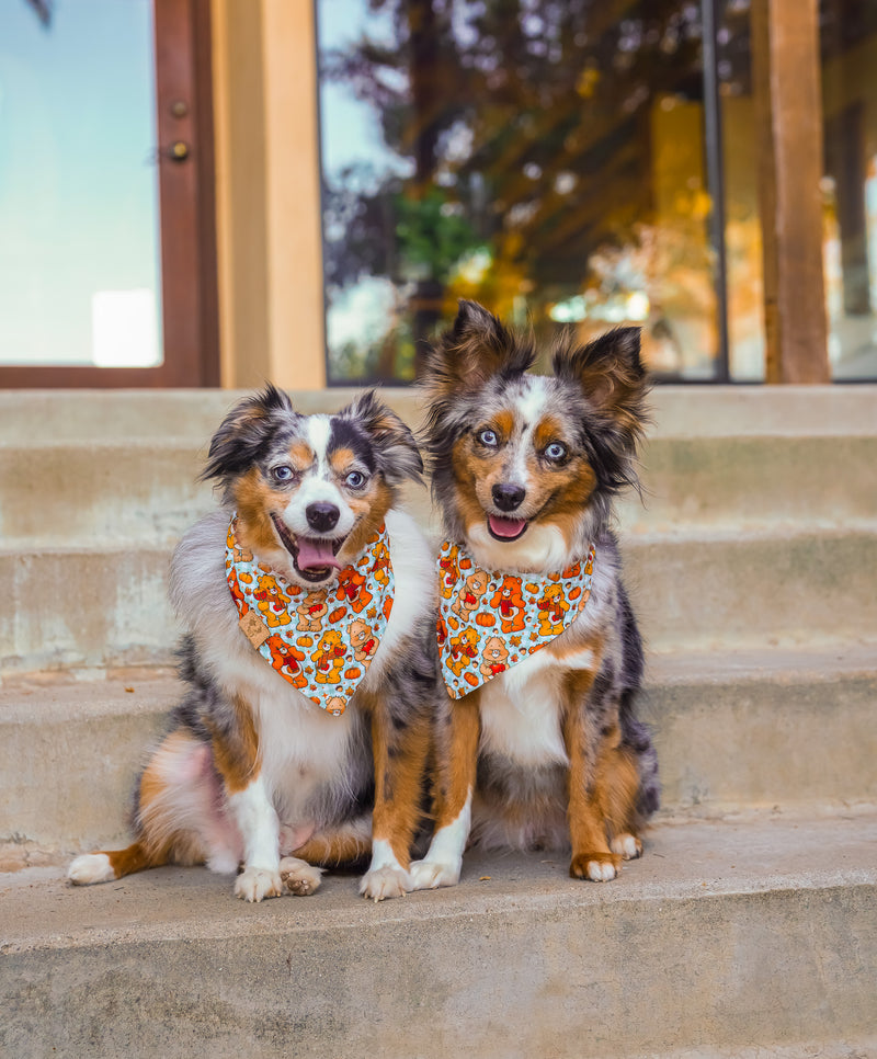 Fall Bears - Bandana