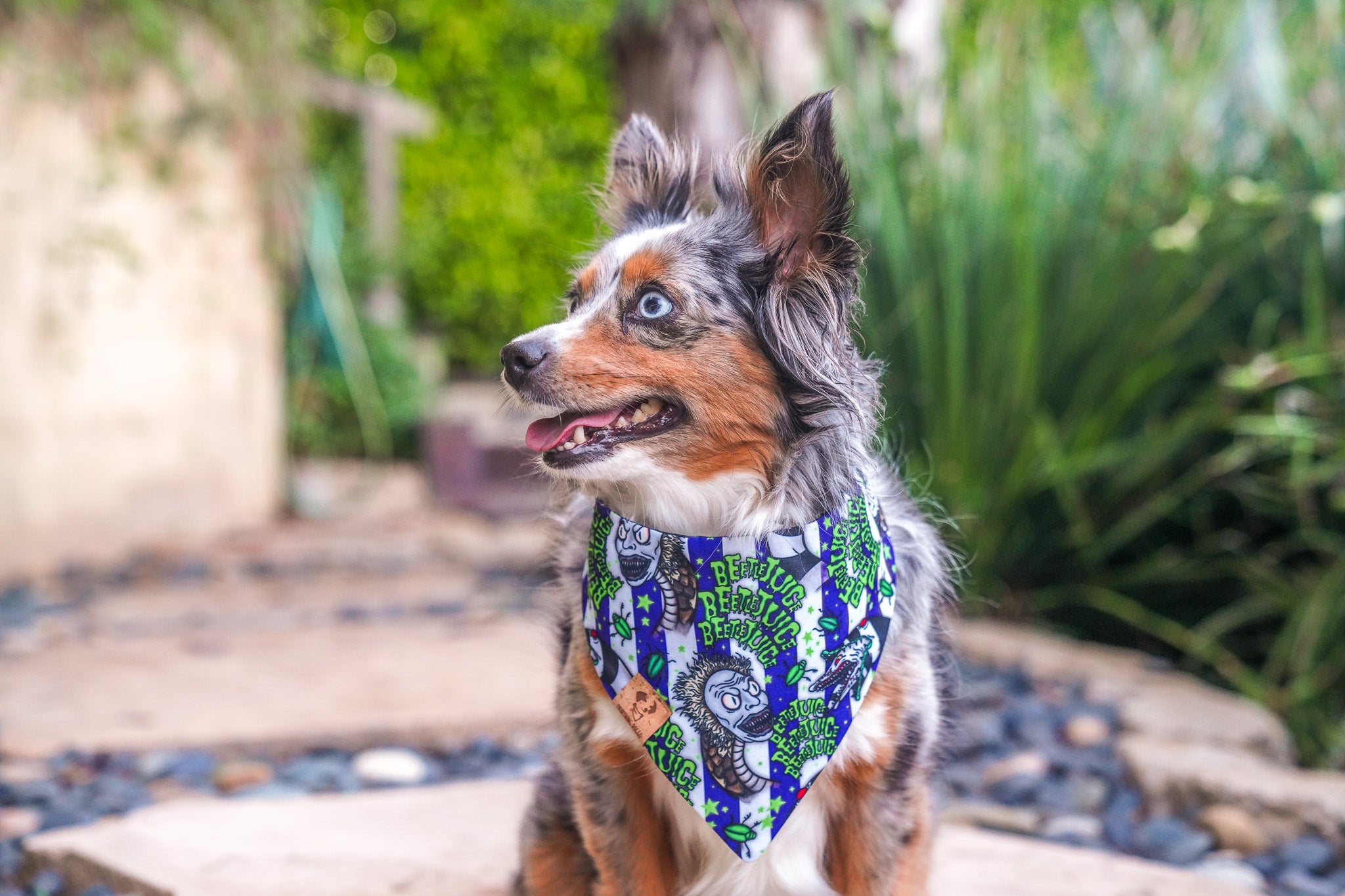 Beetle Glass - Bandana (Reversible)