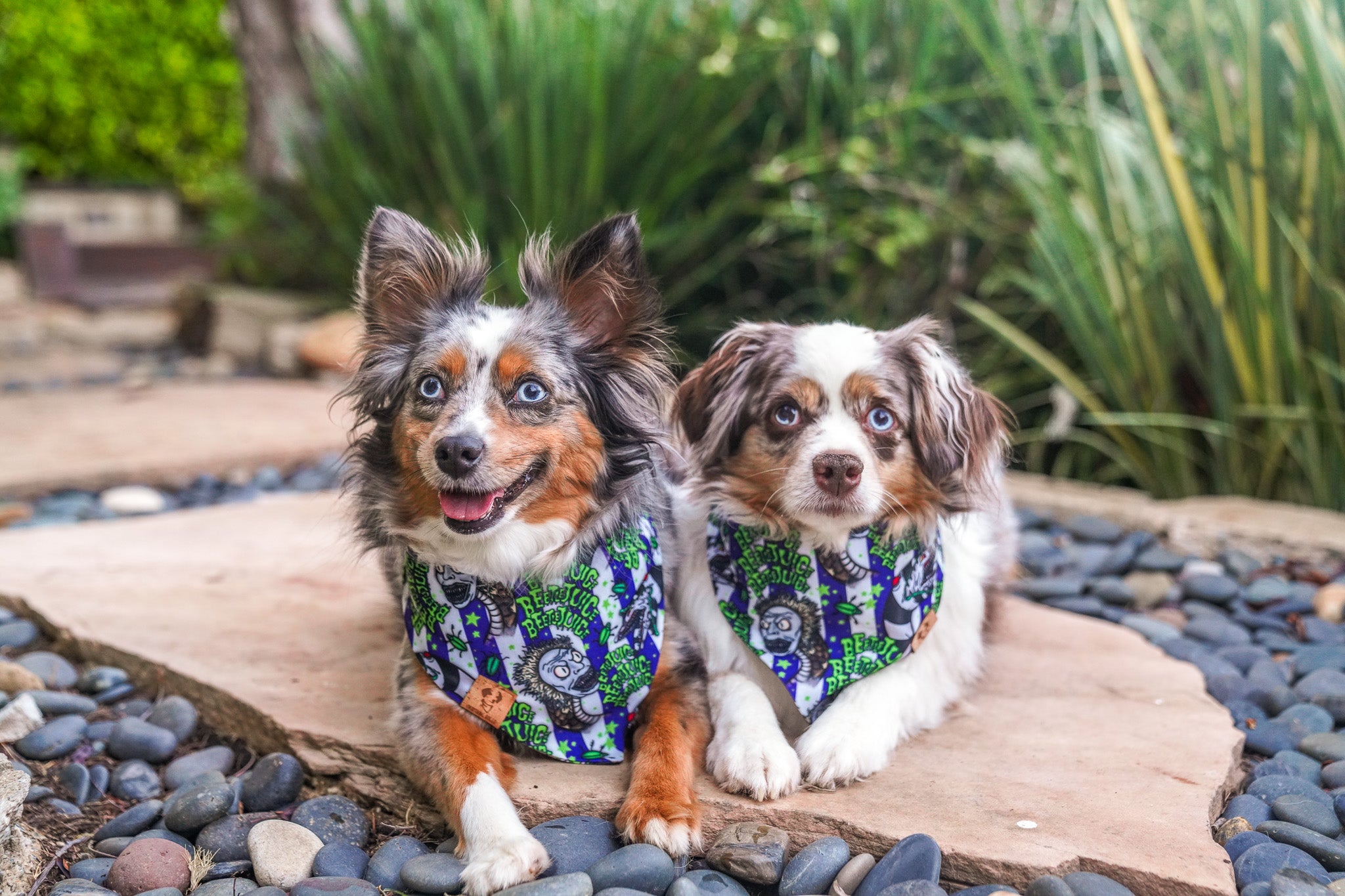 Beetle Glass - Bandana (Reversible)