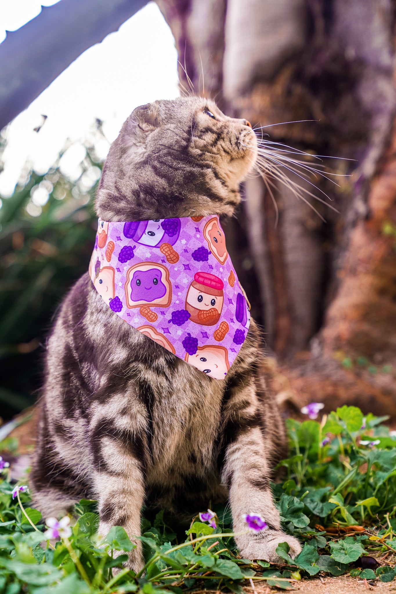 Peanut Butter Jelly Bundle – Bandana & Interactive Snuffle Toy