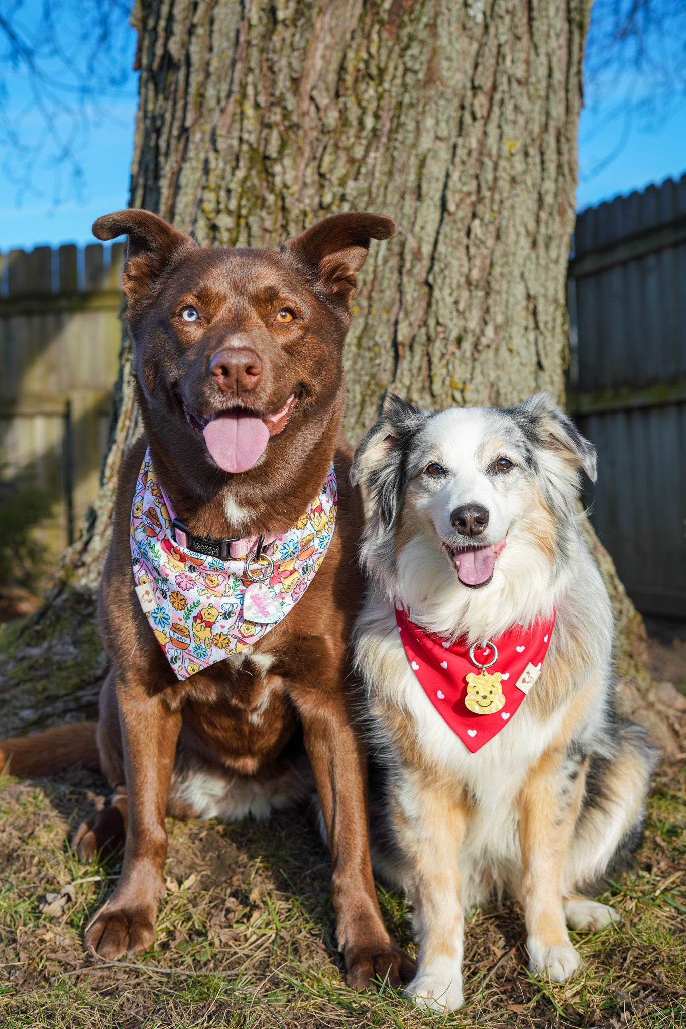 Hunny Bear Plaid - Bandana (Reversible)