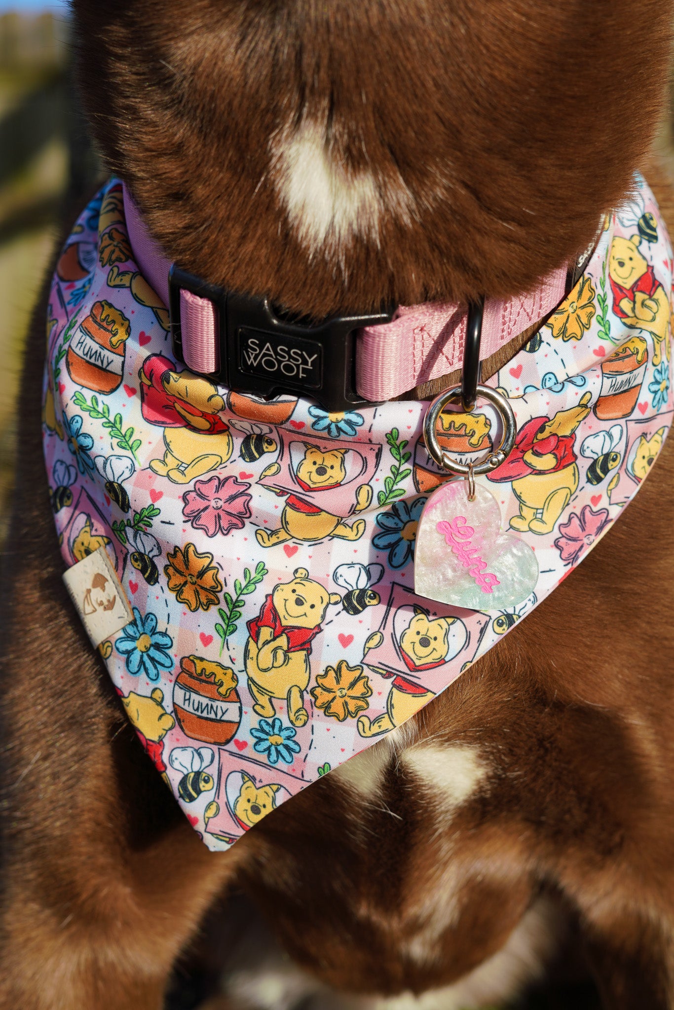 Hunny Bear Plaid - Bandana (Reversible)