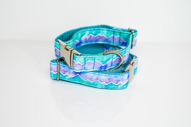 Moonlight Eco Canvas Dog Collar