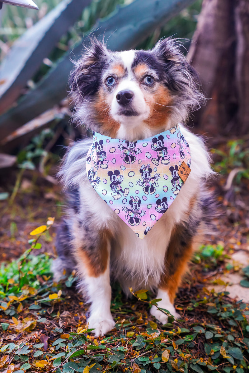 Easter Mouse - Bandana