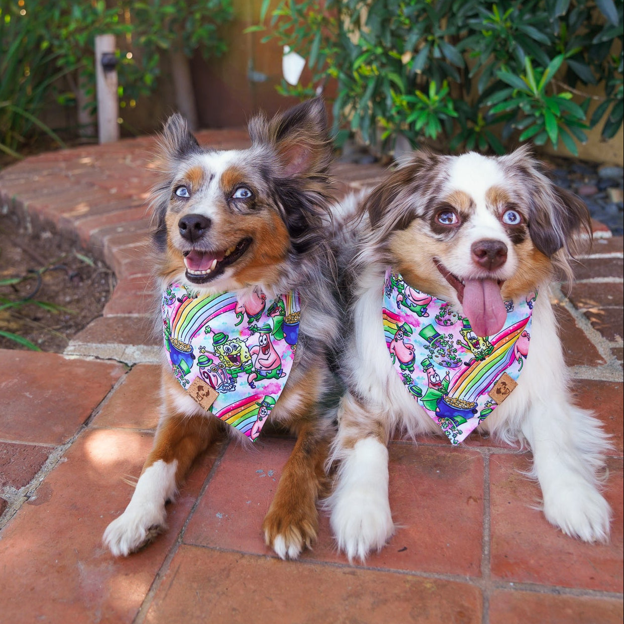 Patrick's Day - Bandana