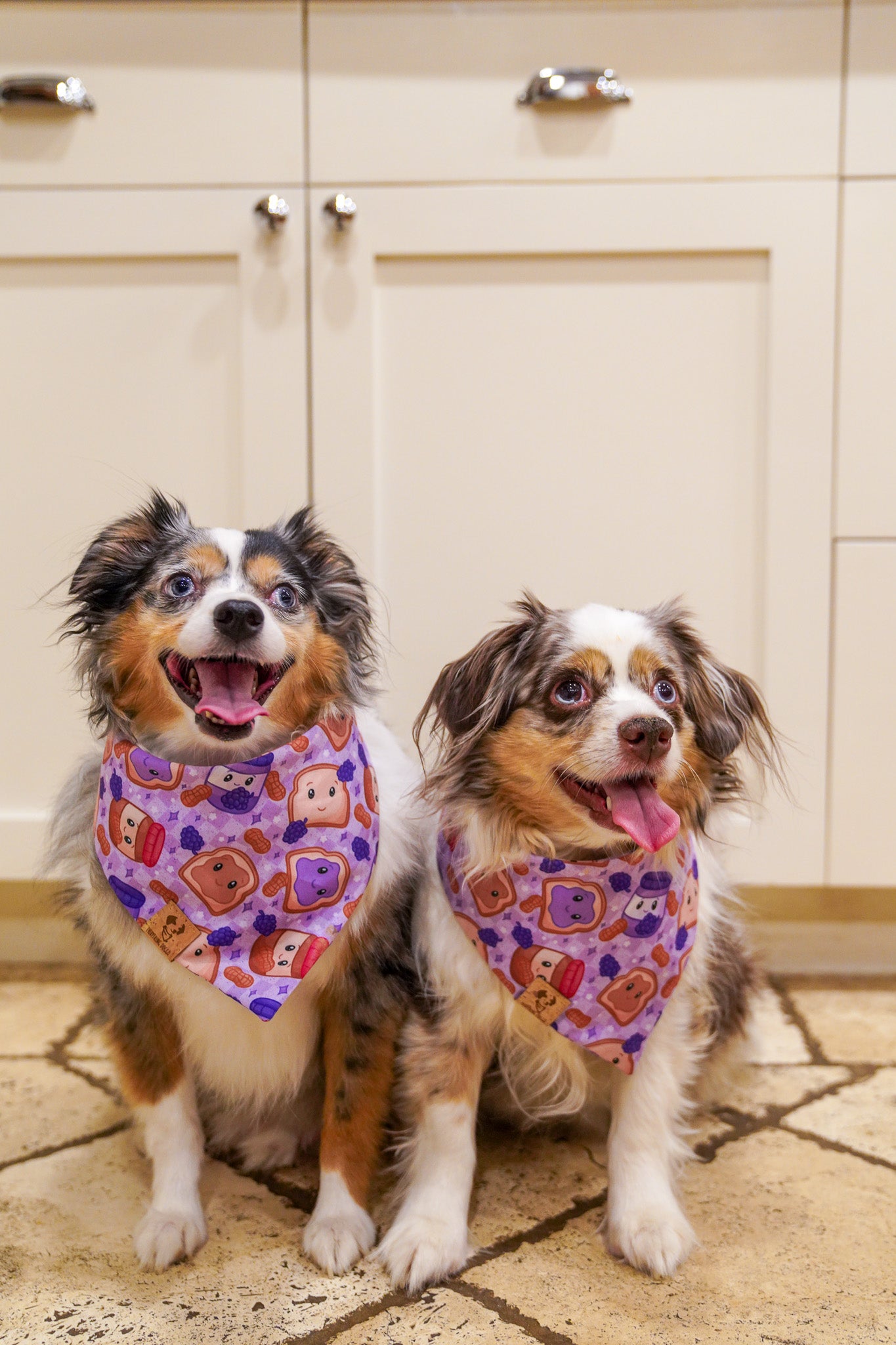 Peanut Butter Jelly Bundle – Bandana & Interactive Snuffle Toy
