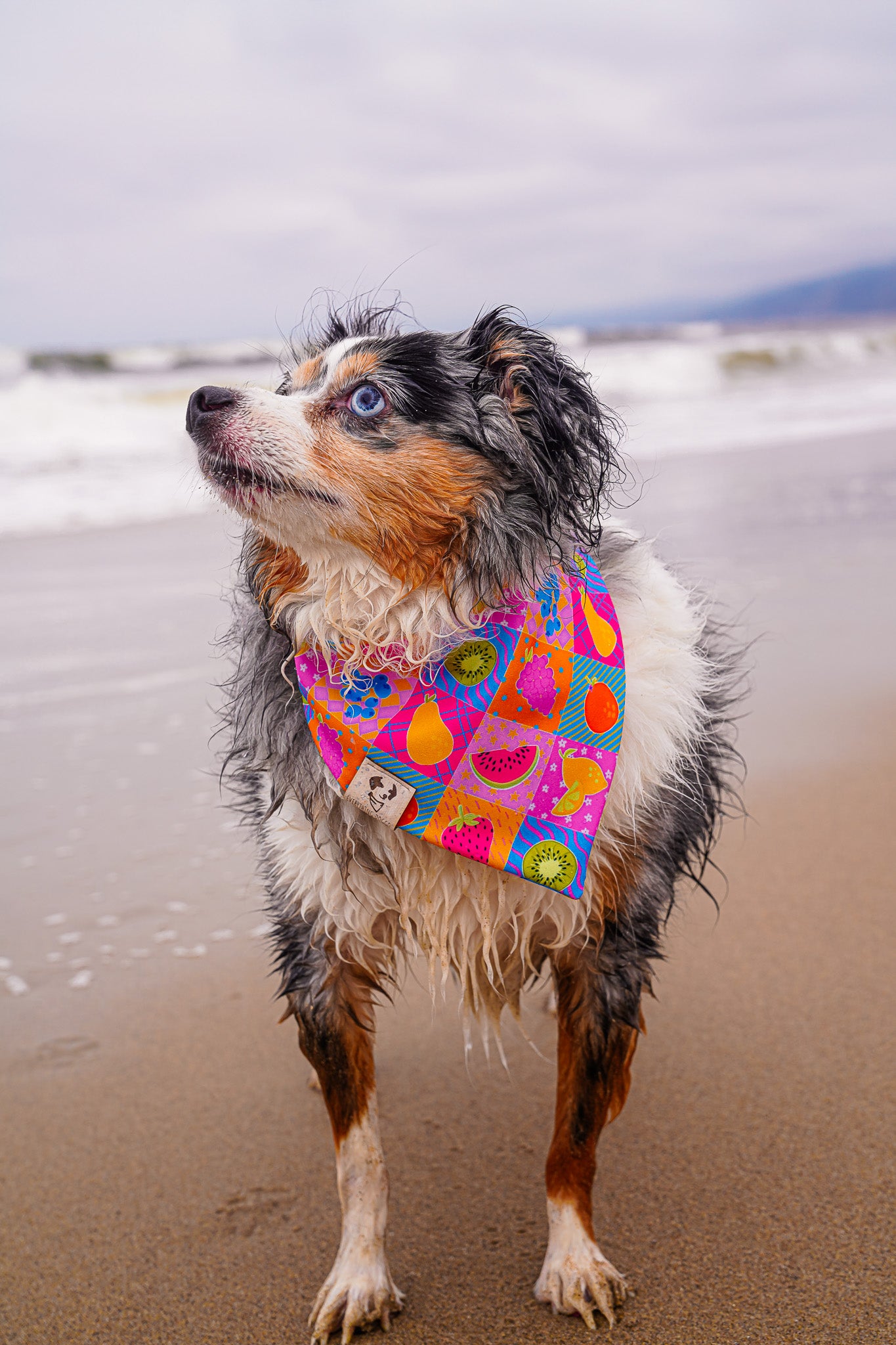 Fruity Patches - Active Snap On Bandana