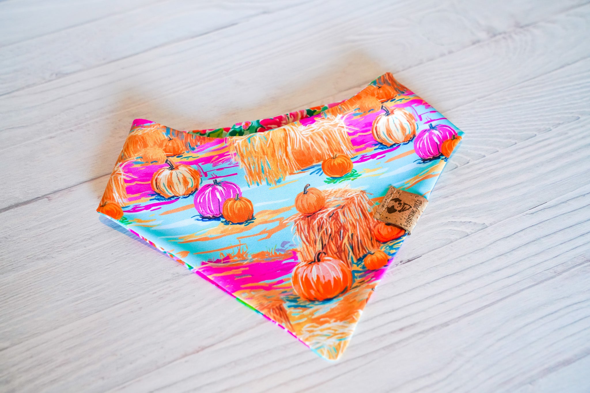 Preppy Pumpkins -  Bandana (Reversible)