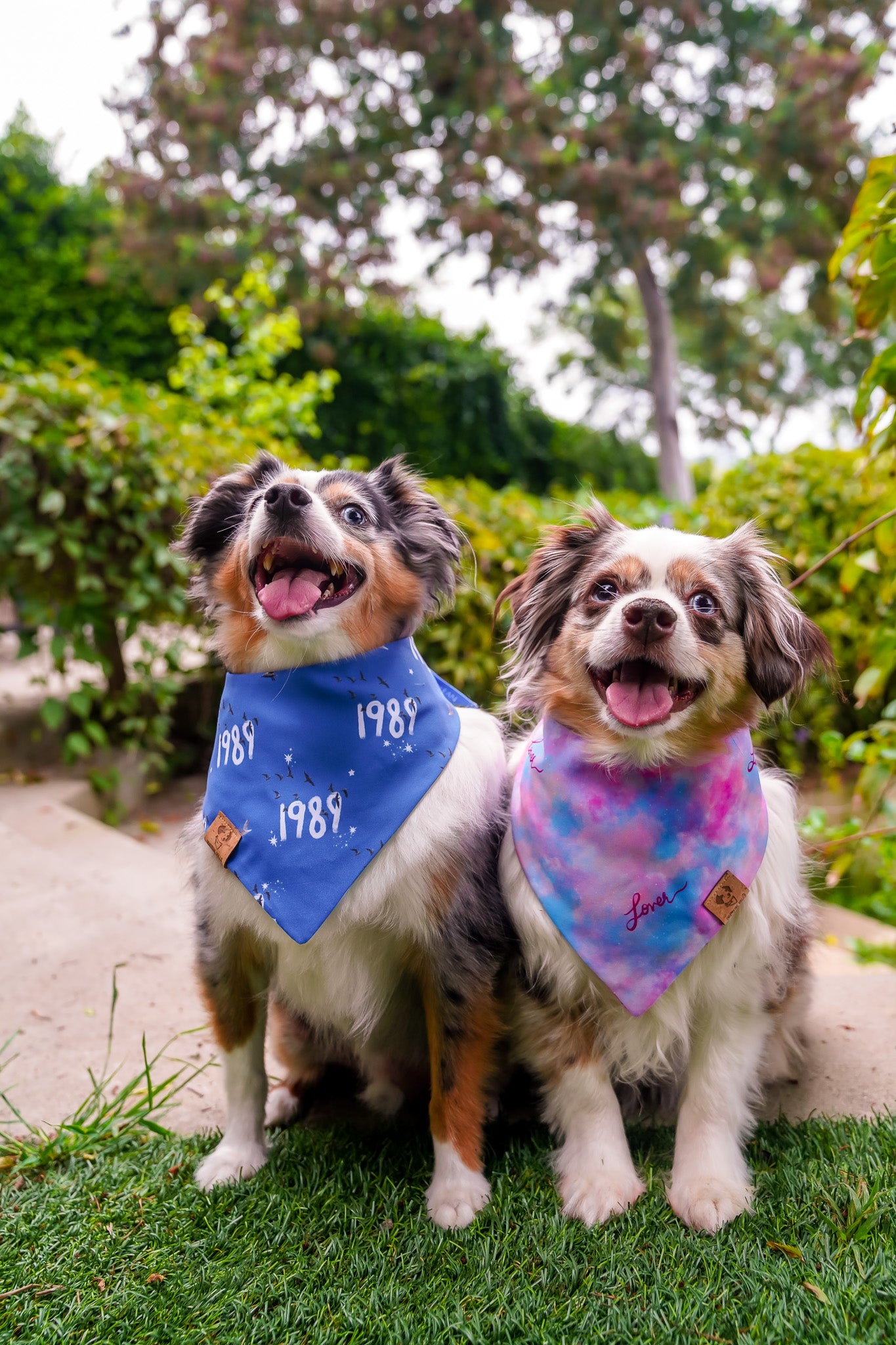 Love - Bandana (Reversible)