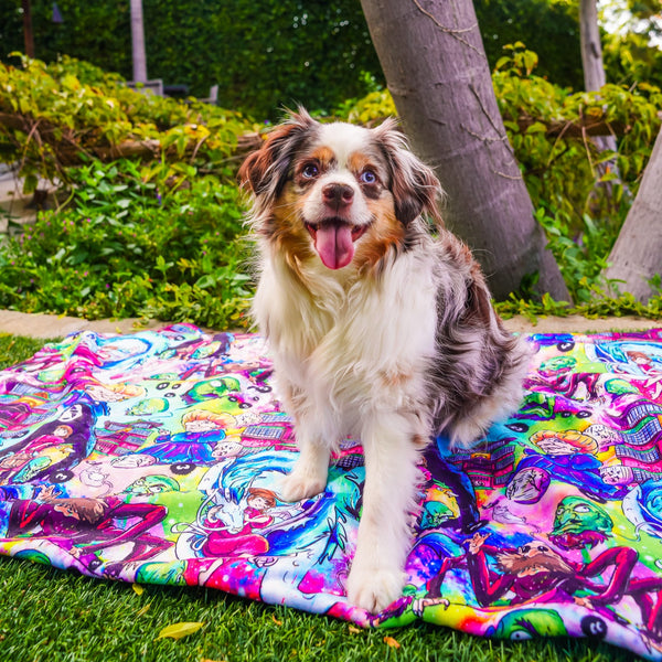 Spirited - Minky Blanket