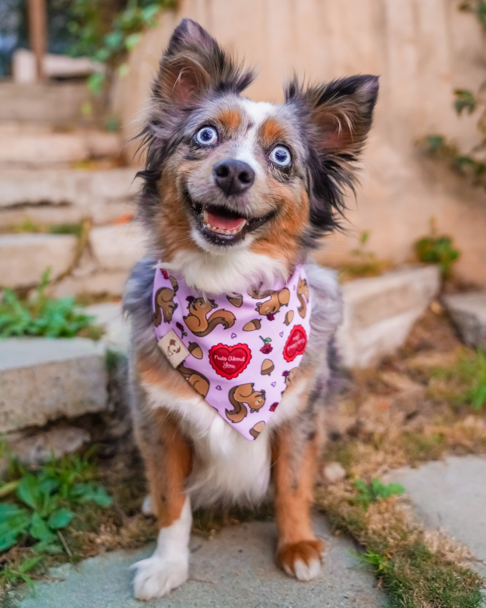 Nuts About You - Bandana