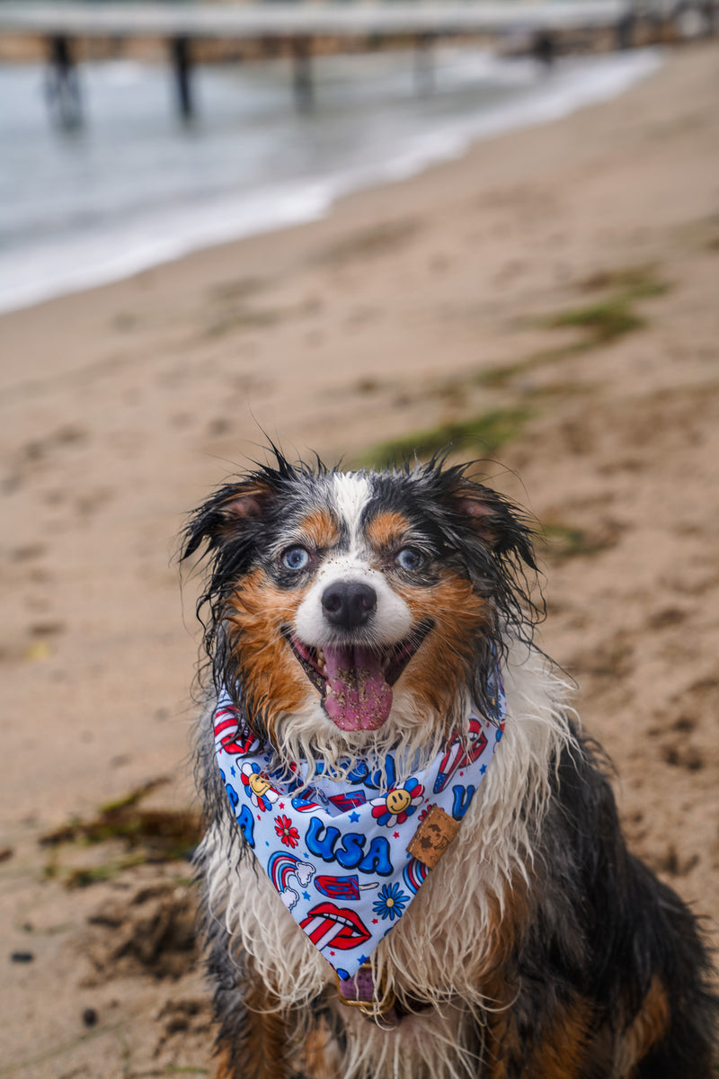 Groovy USA - Bandana