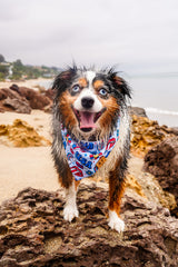 Groovy USA - Bandana