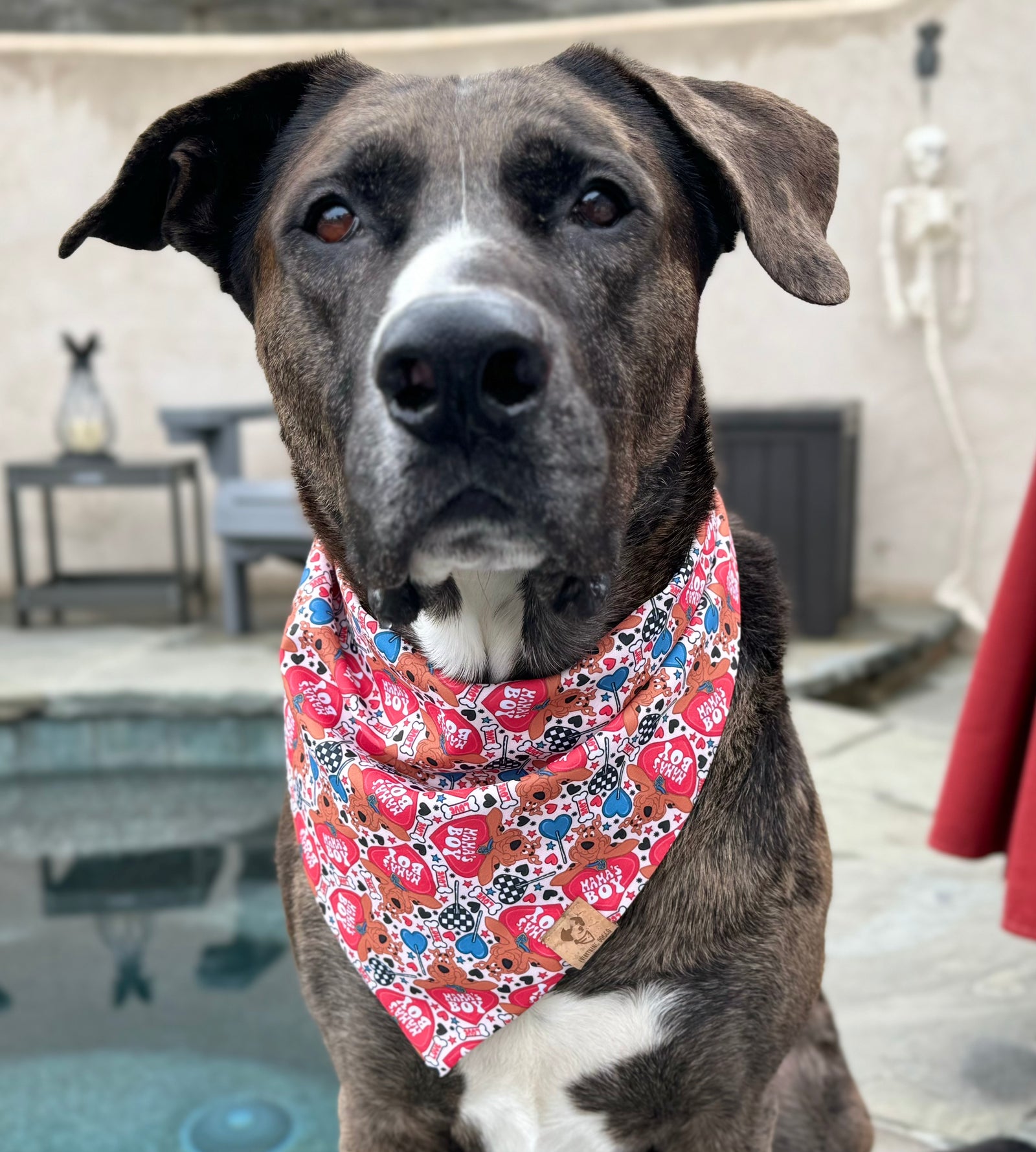 Mama s Boy Dog Bandana Everything Doggo