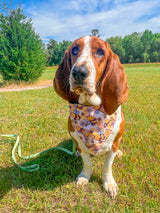 Cute Bees - Bandana