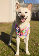 Rainbow Poke Friends - Bandana