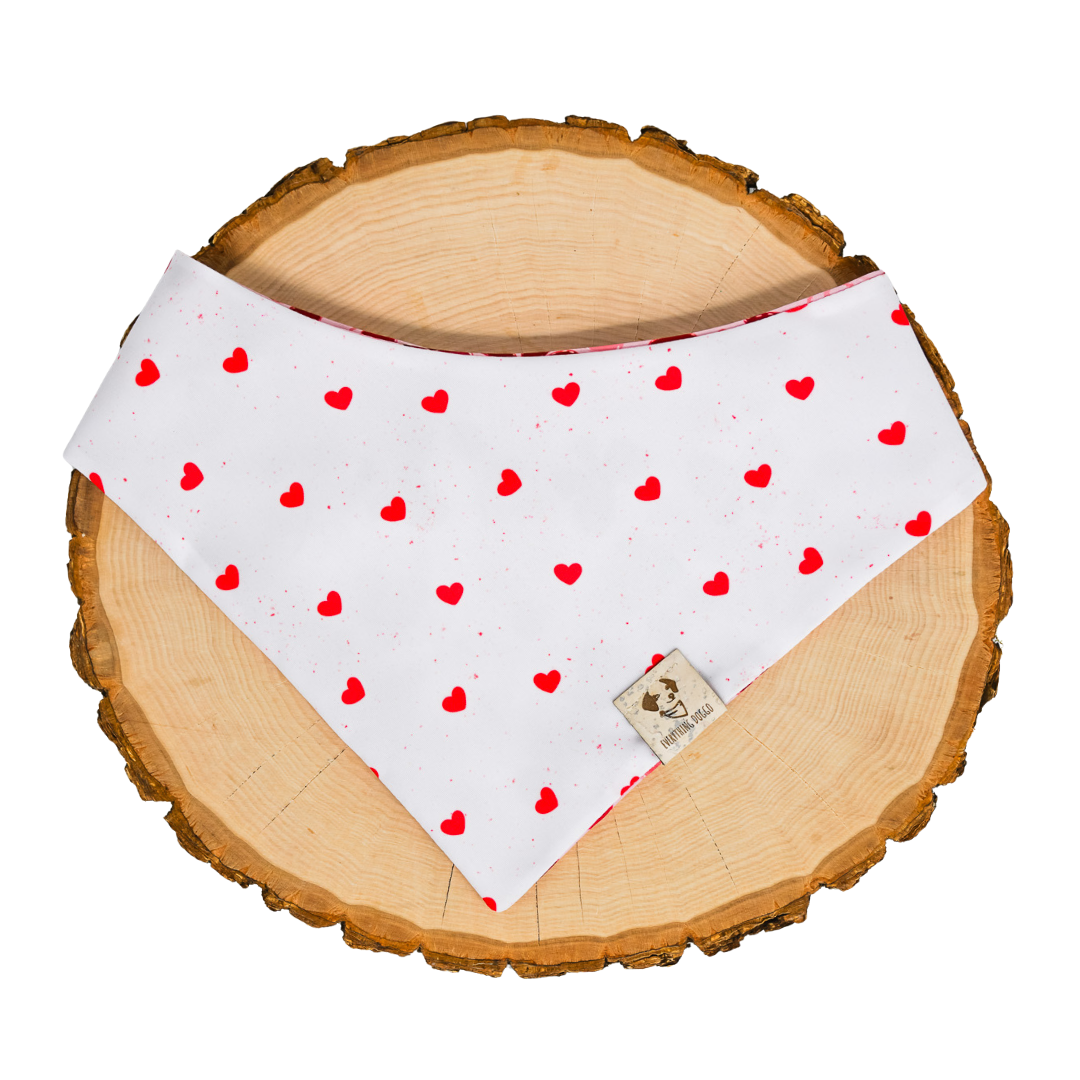 Once Upon a Valentine - Bandana (Reversible)