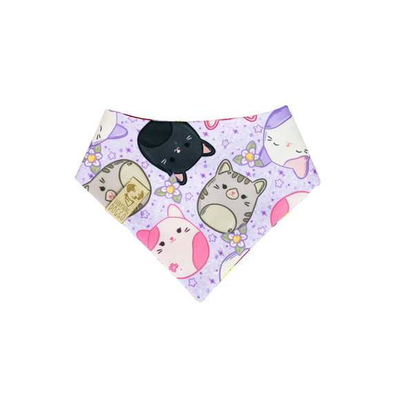Kitty Squish - Curved Snap On Bandana