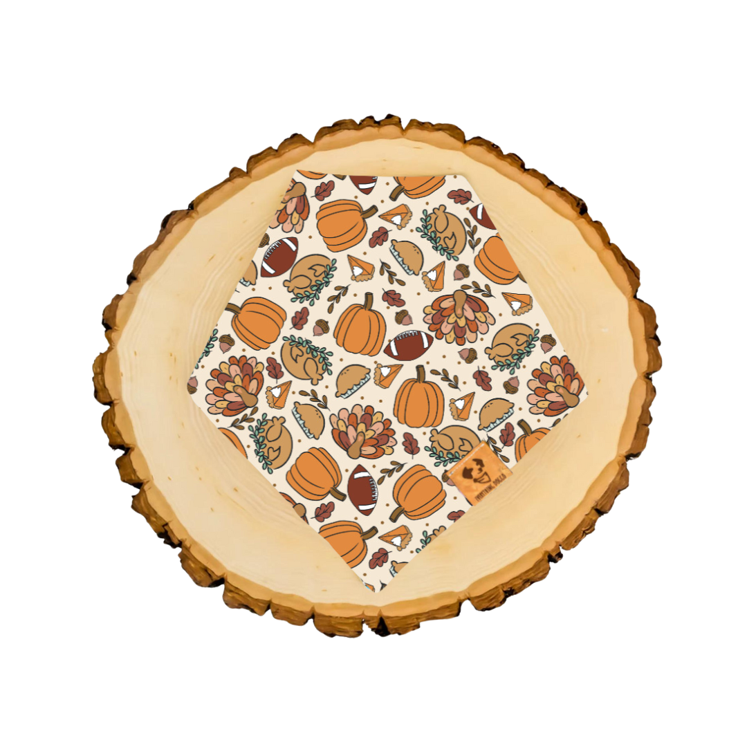 Thanksgiving Football - Bandana