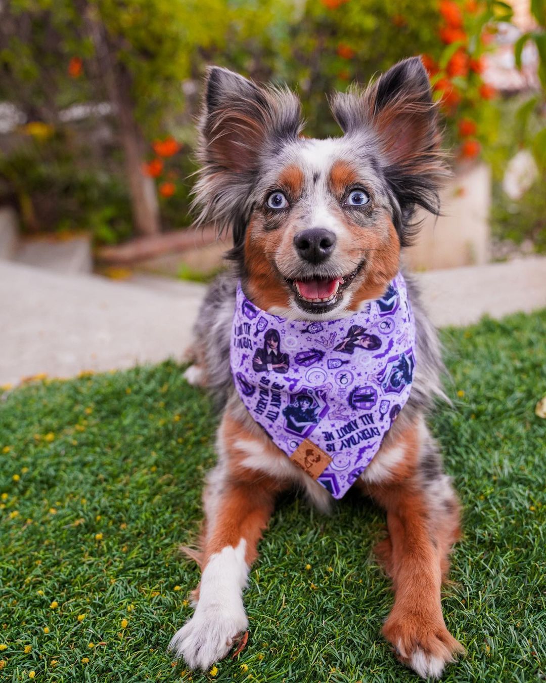 Nevermore -  Bandana (Reversible)