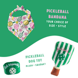 Pickleball Mini Bundle