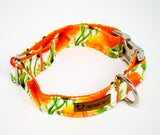 California Poppies Eco Canvas Dog Collar