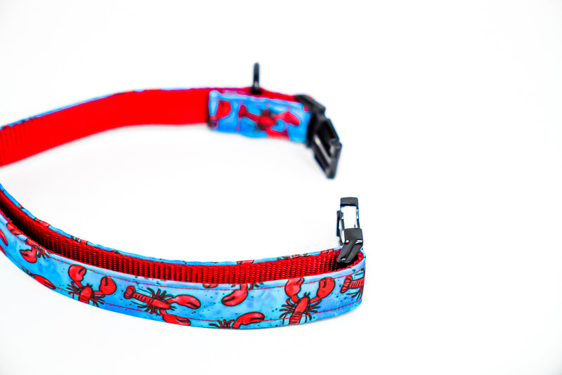 Lobster Eco Canvas Dog Collar