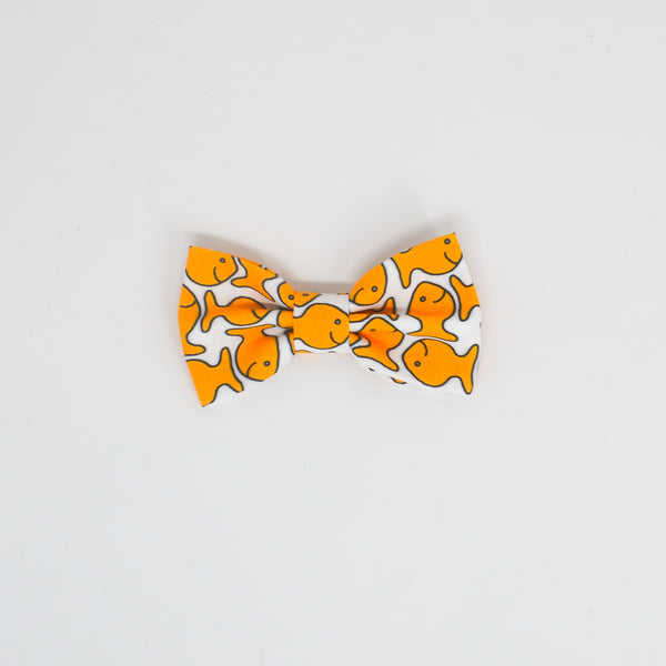 Goldfish - Bow
