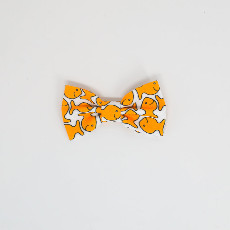 Goldfish - Bow