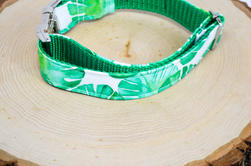 Monstera Eco Canvas Dog Collar