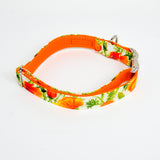 California Poppies Eco Canvas Dog Collar