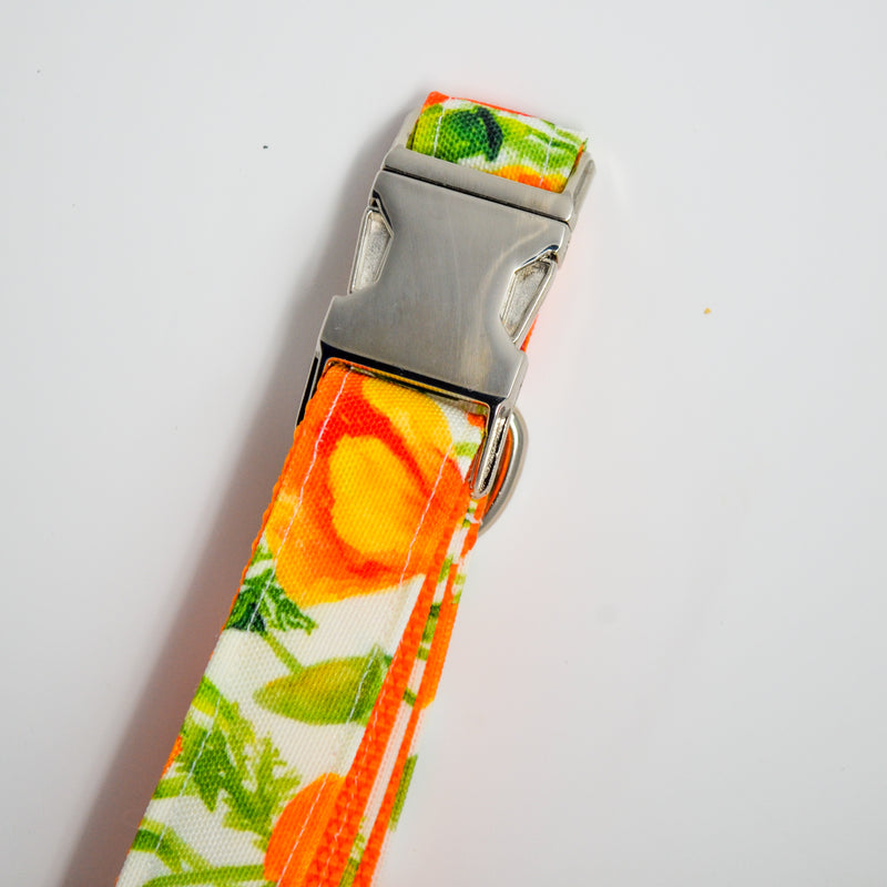 California Poppies Eco Canvas Dog Collar