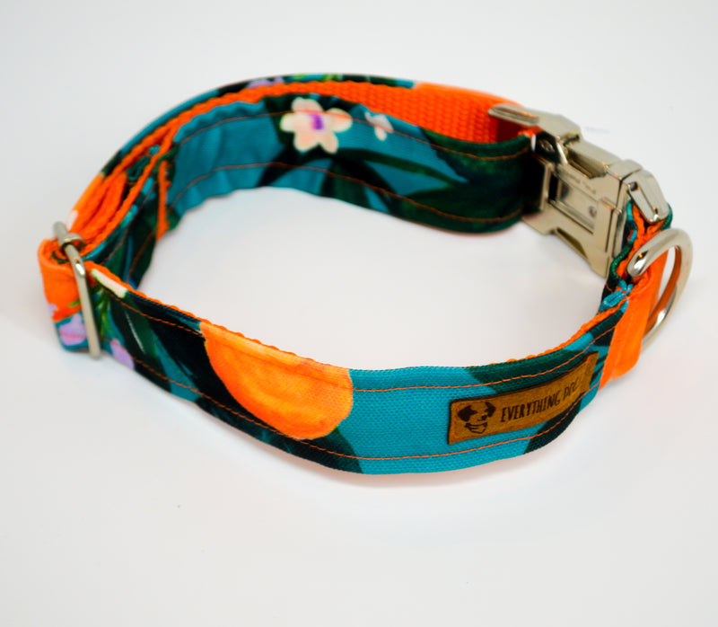 Clementine Eco Canvas Dog Collar