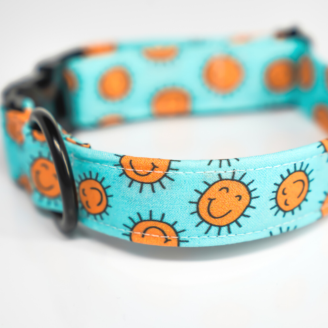 Sunshine On My Mind Cotton Dog Collar