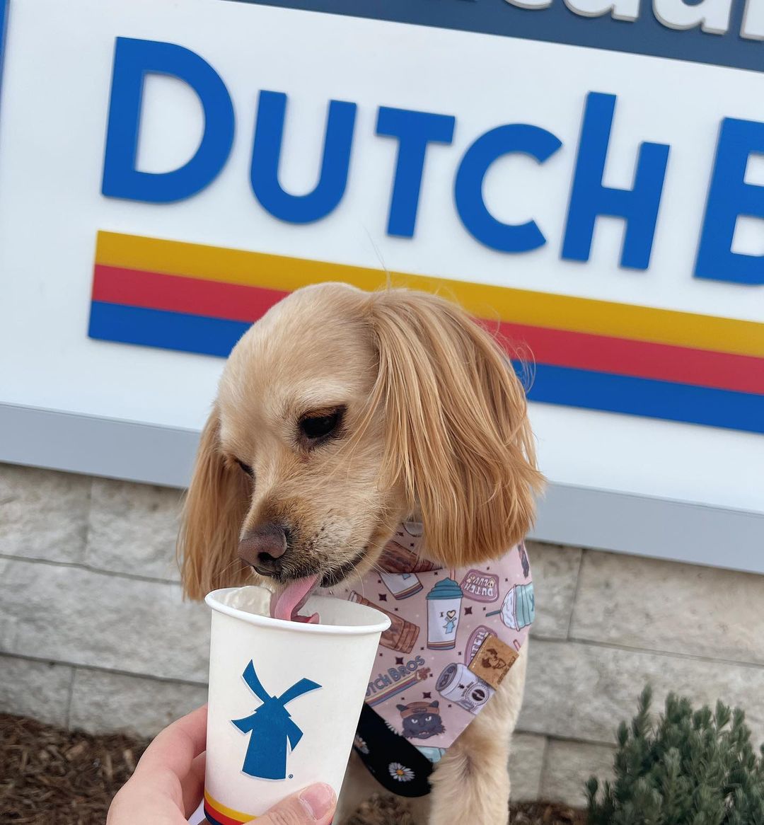 Dutch Coffee - Classic Tie On Bandana